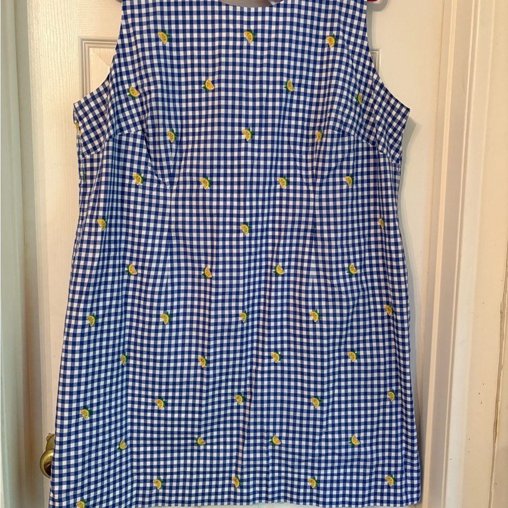 Talbots Blue and White Gingham with embroidered Lemons Dress